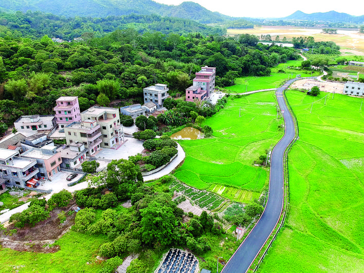 惠阳区良井镇黄洞村大力整治人居环境,引来户外拓展项目落户