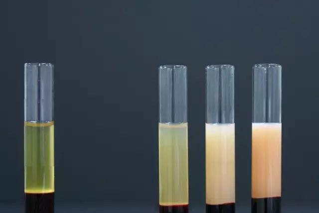 一篇文章给你讲清楚甘油三酯