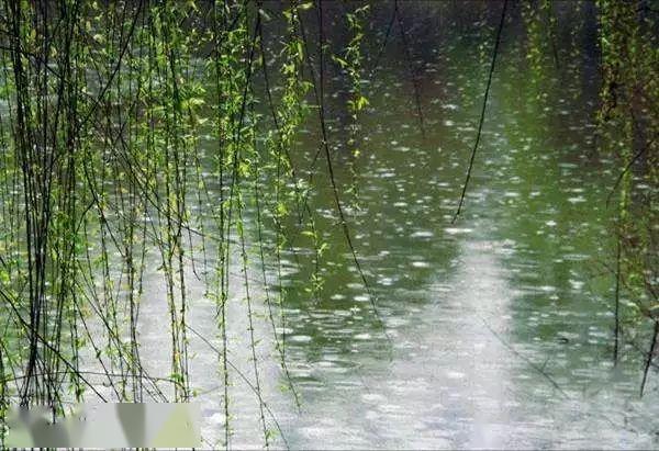 烟雨夜读昨夜雨霏霏临明寒一阵