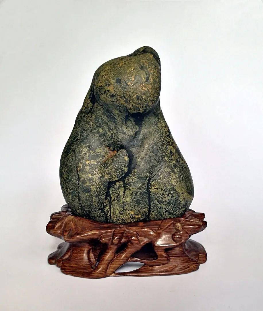 奇石档案藏家专栏-王善一