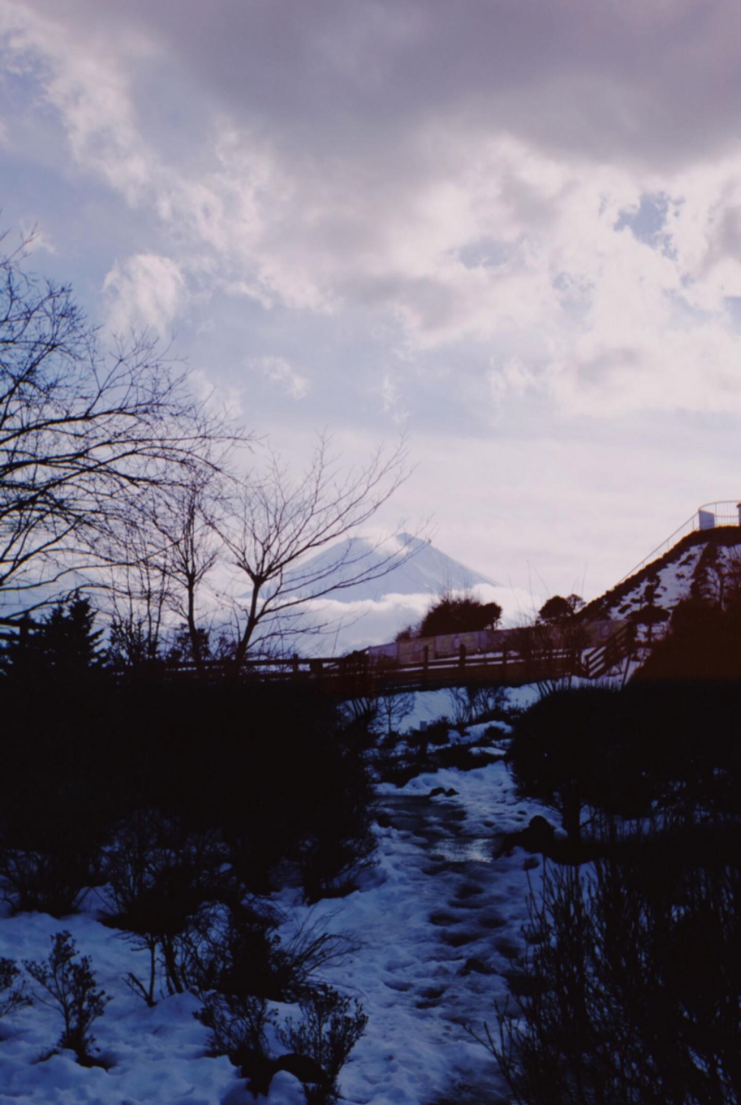 摄影师小汀发来今日明信片 给炎热初夏带来一丝凉意