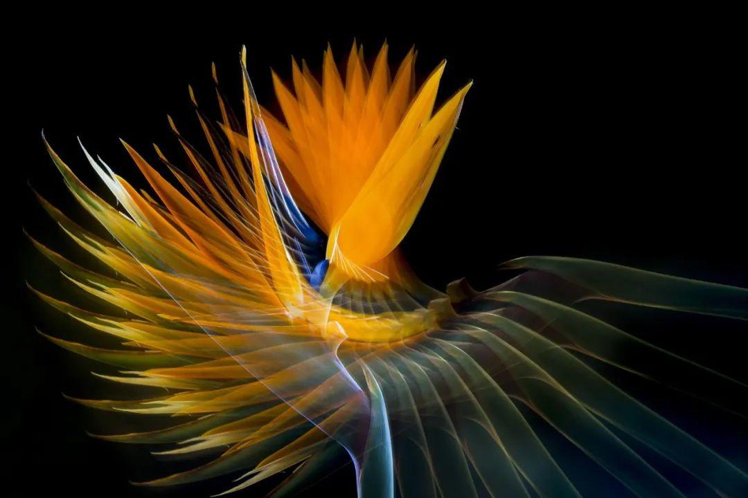 【摄影双师课堂·讲座】多重曝光,奇幻的影像曝光游戏