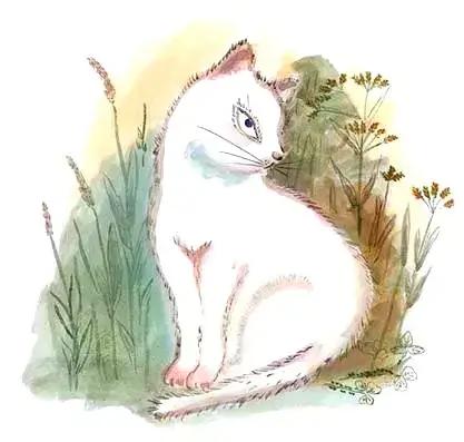 绘本 | 《活了一百万次的猫》_白猫