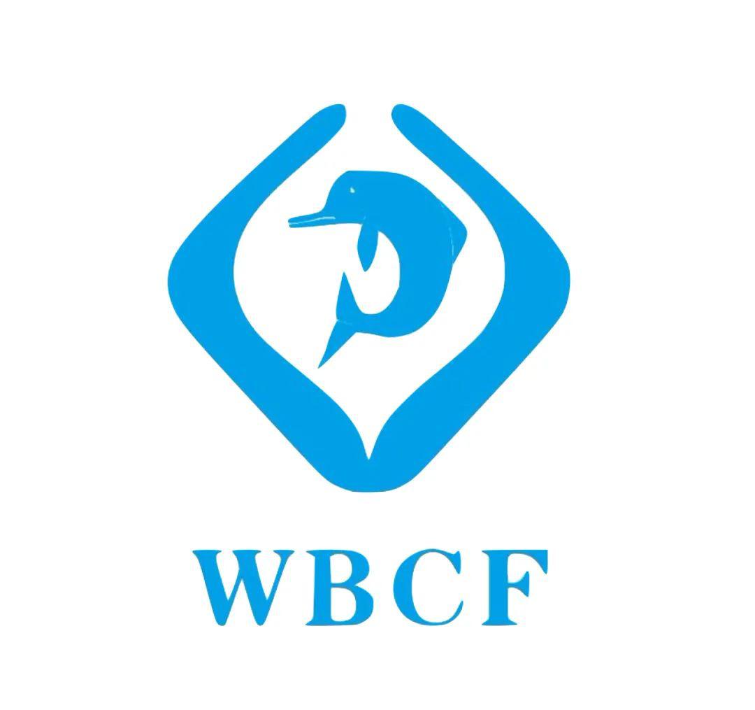 我曾见过活着的白鱀豚但如今已无人再有这样的幸运