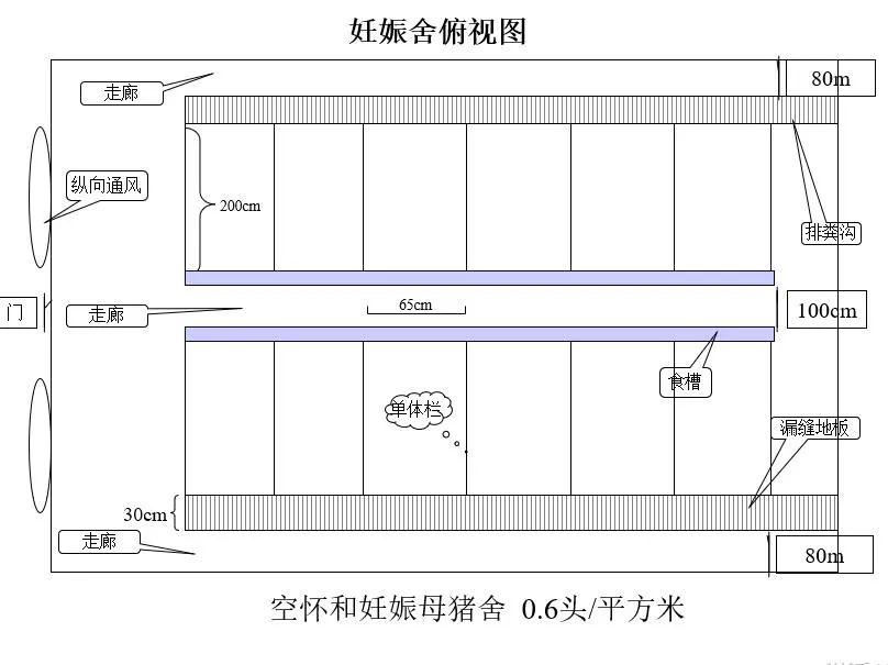 育肥猪圈舍尺寸及图片图片