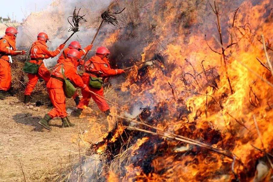 四川凉山州森林火灾图片