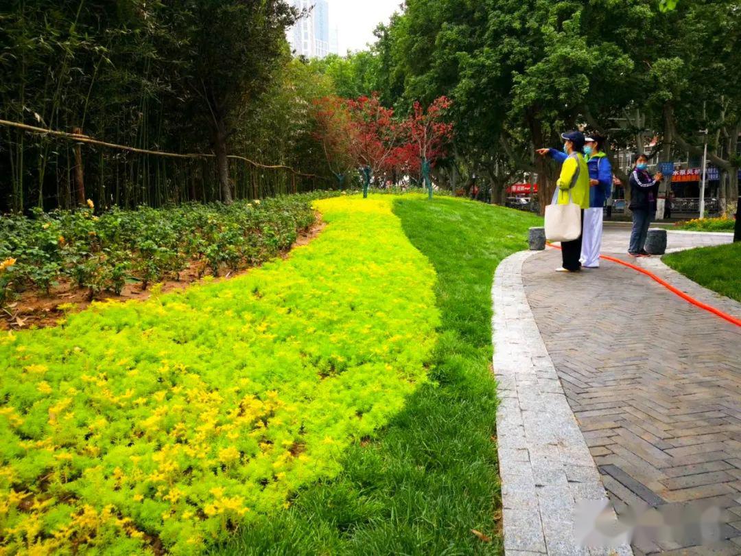 "颜值"飙升!人民公园西门拆围透绿揭开面纱