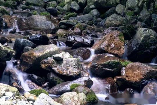 潭水清冽,冰涼肌膚;隨意溪石,藤蔓林立曲徑通幽處,溪道跌宕,溪水潺潺