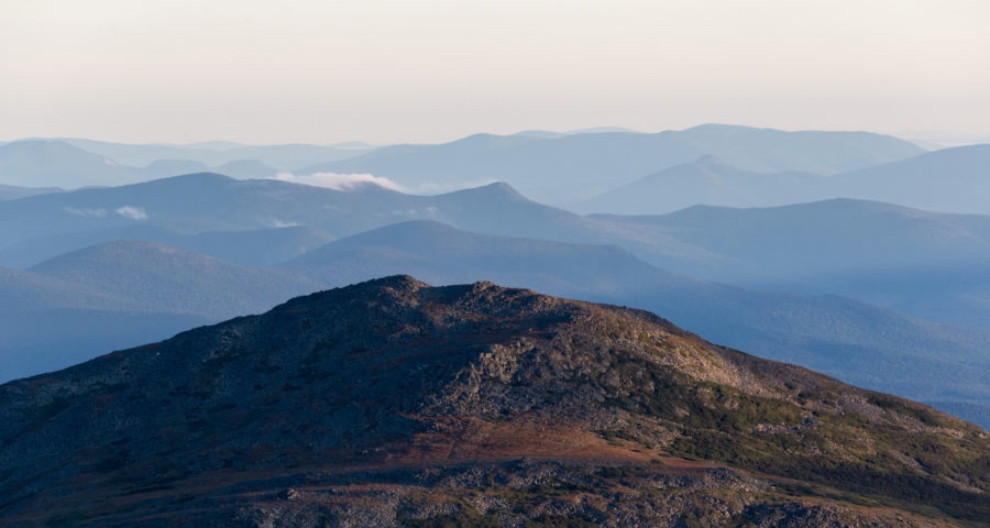 引流成本上涨、刷单炒量盛行，家电厂商为何会迷失在流量陷阱中?-家电圈官网