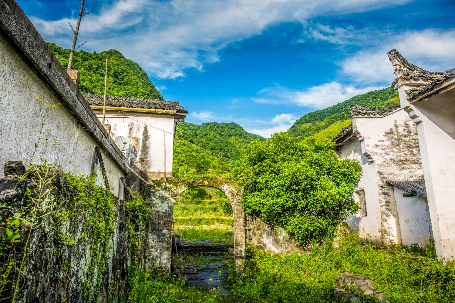 安徽古村不止宏村西递,600年的白石岭堪比桃源,游客想买房隐居