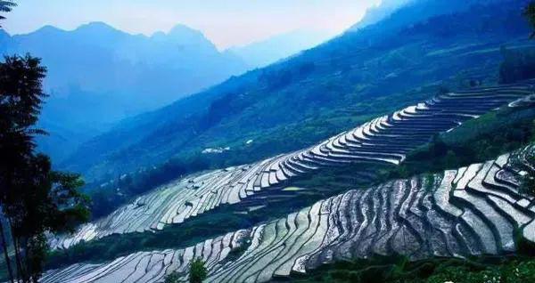 鄉村四月土家梯田層層盛景入畫來