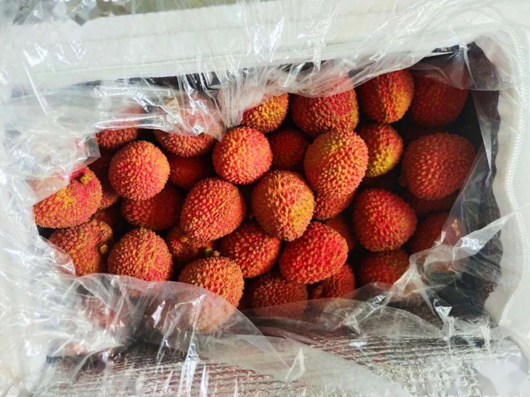 团购|海南妃子笑荔枝上市!_品质