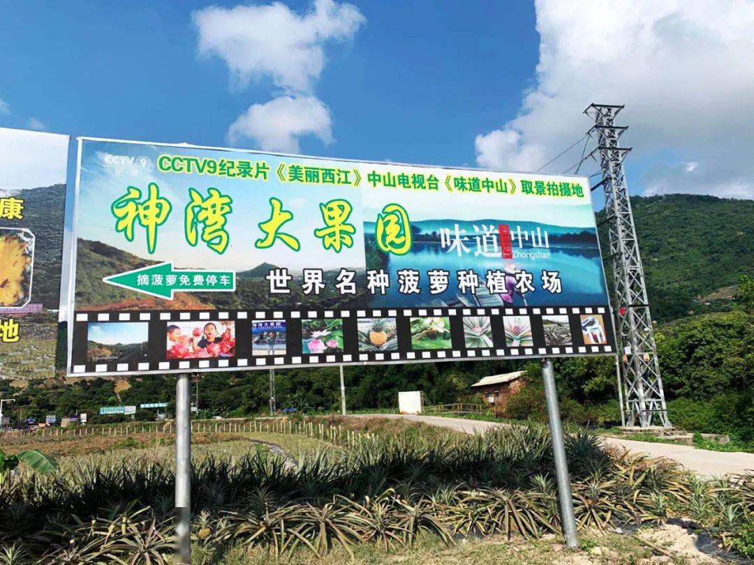 上过十二道锋味闻名全国的网红神湾菠萝又熟了肉脆多汁清甜无渣无需盐