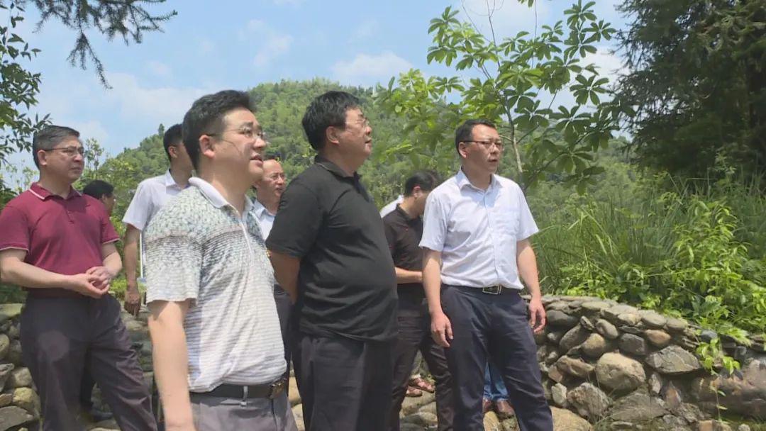 吉安市人大常委会副主任徐明巡查蜀水河井冈山段