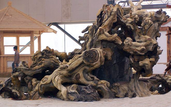 为北京红太阳生态餐饮美食城设计制作的仿真古树