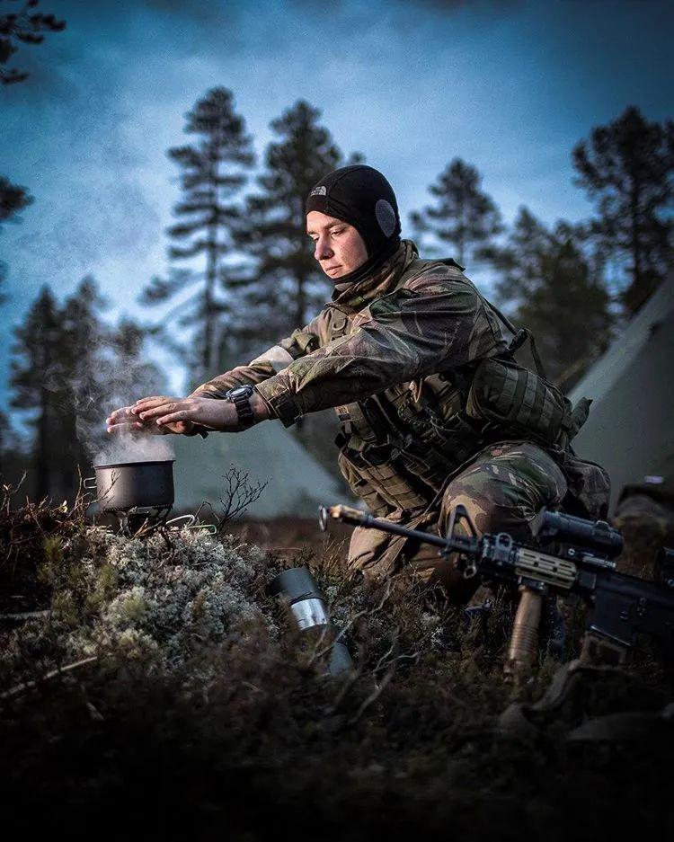 【外军掠影】北约成员国武装力量图集