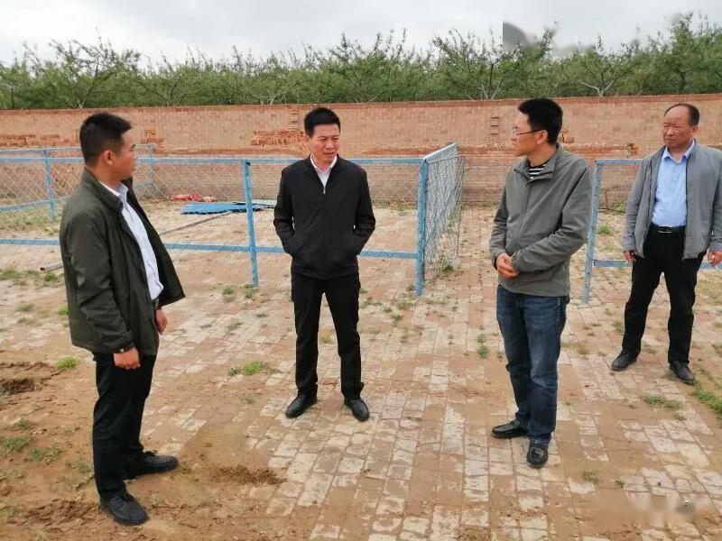 动态|秦亚军督查指导白马铺镇重点工作