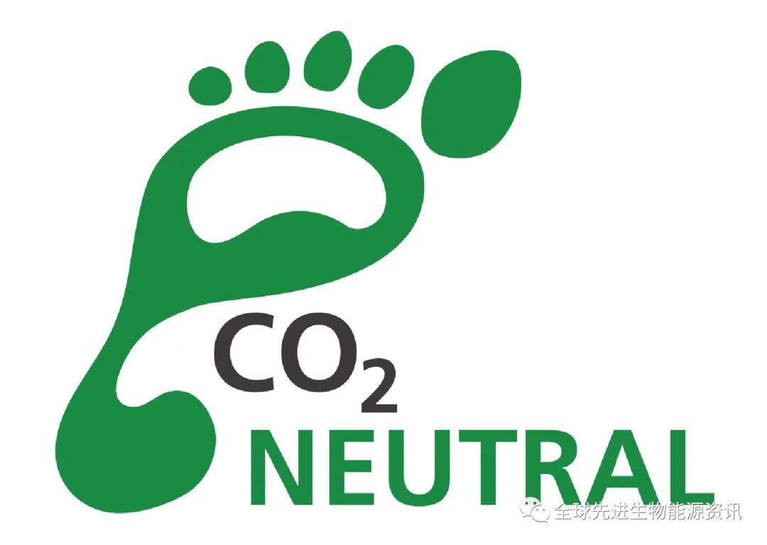 脱碳之路的关键用木屑颗粒替代发电中的煤炭