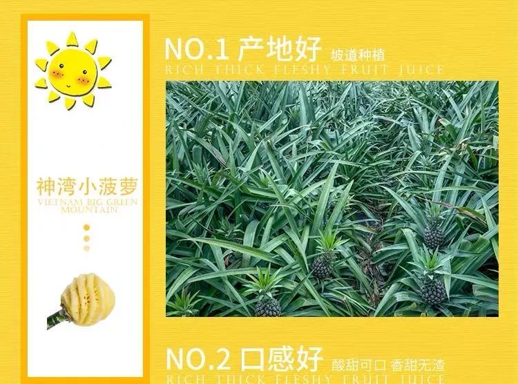 上过十二道锋味闻名全国的网红神湾菠萝又熟了肉脆多汁清甜无渣无需盐