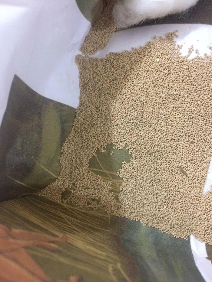 网友什么都知道奇怪的知识又增加了