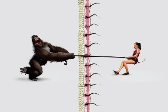 广告设计欣赏!脑洞的思路很优秀