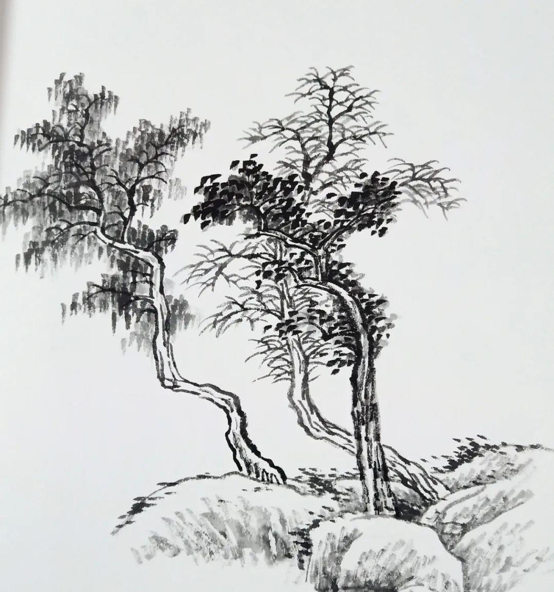 肖艳山水画基础班树木画法只需50元