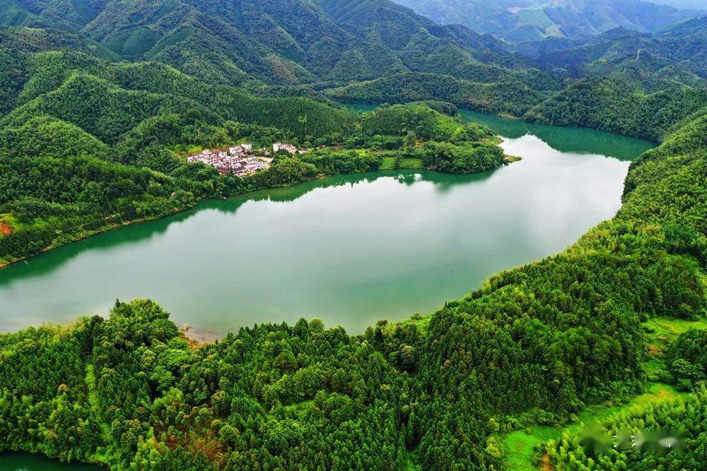 新时代新作为新篇章大余生态品牌更响亮了