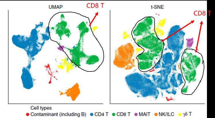 数据降维效果不好？试试前沿算法UMAP！_细胞