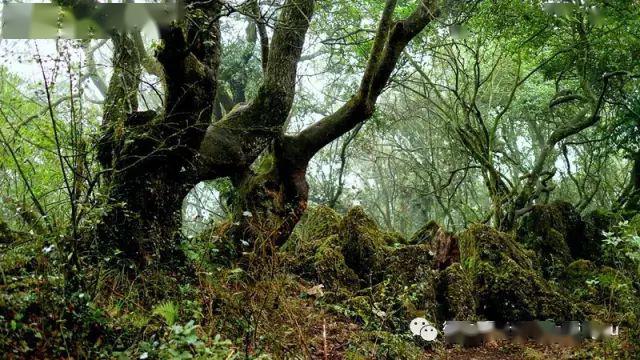 游侠时光:去圭山纵览云海翻波_赵国洪