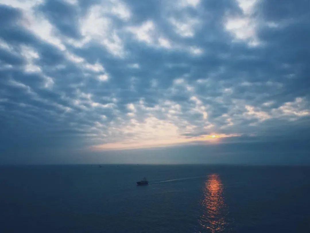 这些朋友圈刷屏的花海终于找到了就在这里