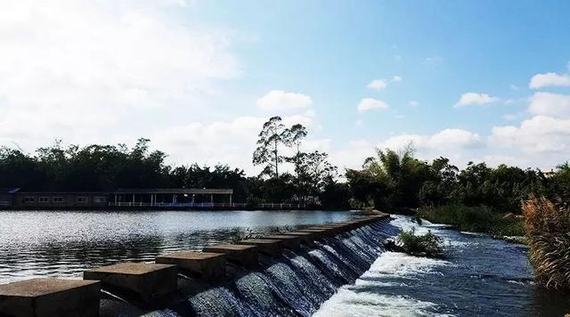 南宁有个竹泉岛景美好玩烧烤采摘划船拓展你去过吗