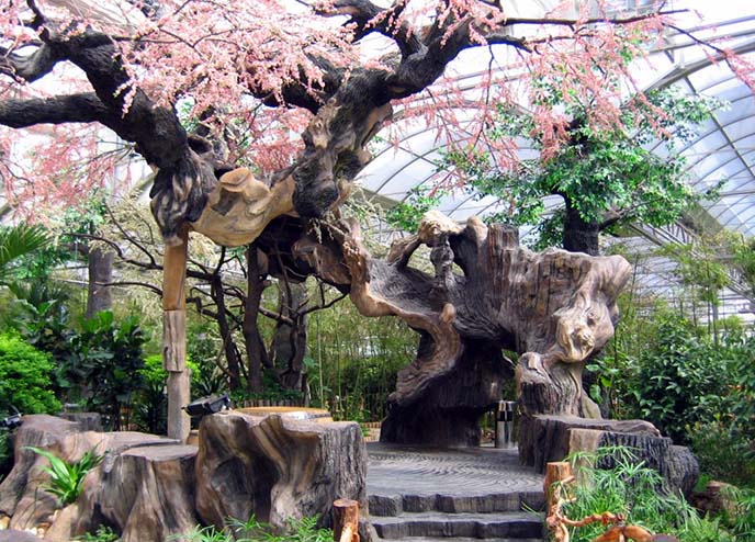 为北京红太阳生态餐饮美食城设计制作的仿真古树