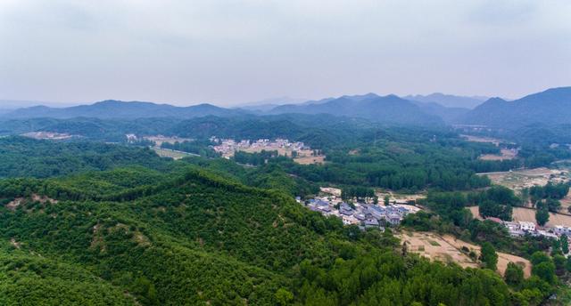 来四棵树乡张沟采摘吧,还有农家菜干饭等着您_张沟村