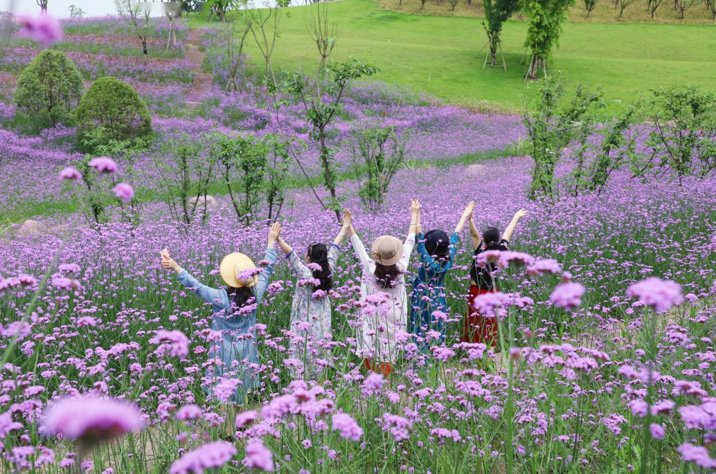 看花海適合發朋友圈的句子(看花海適合發朋友圈的句子簡單)