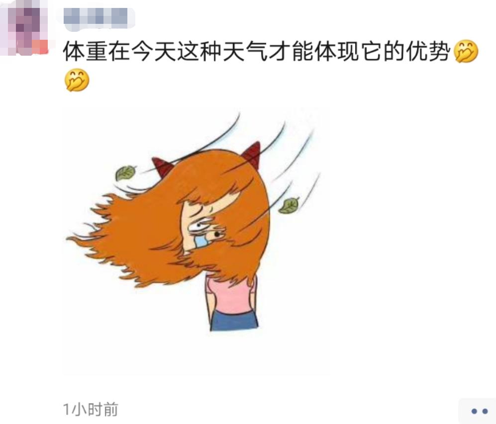 被风吹跑的搞笑图片图片