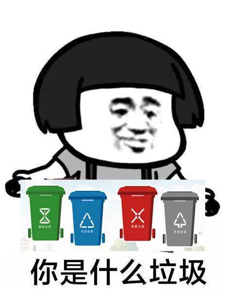 作为垃圾分类工作的打趣这句话曾在社交网络风靡一时其实它承载了很多