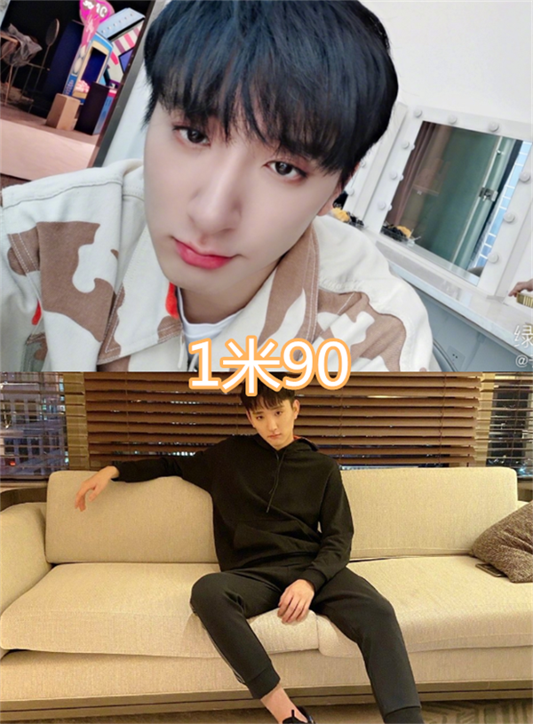 原创有种优秀叫身高超1米9高伟光黄志玮没啥1米95的他离世了