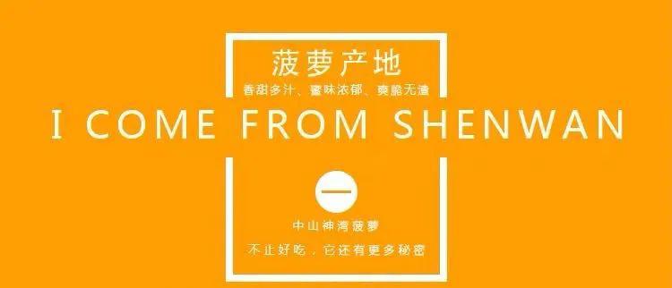 上过十二道锋味闻名全国的网红神湾菠萝又熟了肉脆多汁清甜无渣无需盐