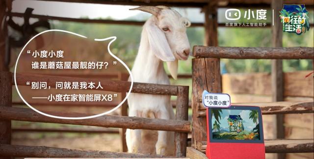 全面铺开顶流综艺合作小度持续做大渗透更广阔市场