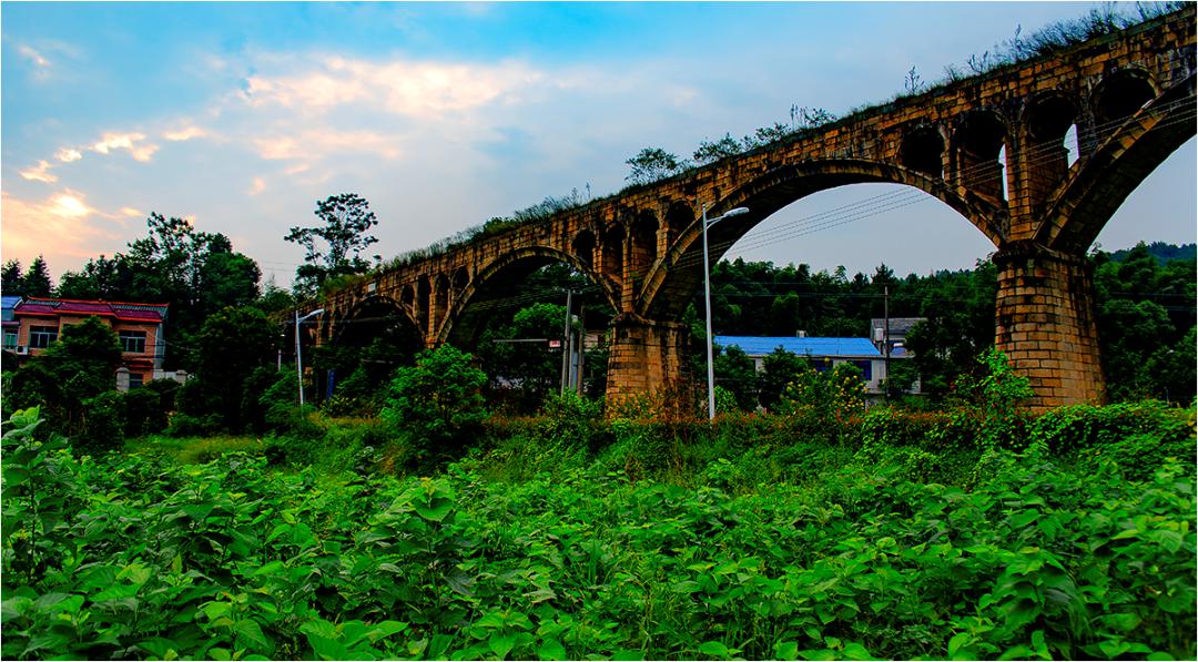 赏杜鹃摘青梅听山歌怡然北山镇邀你尽享田园风光