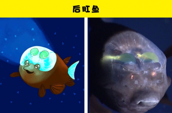 动森里不会只钓过鲈鱼吧这10种深海鱼比游戏还科幻
