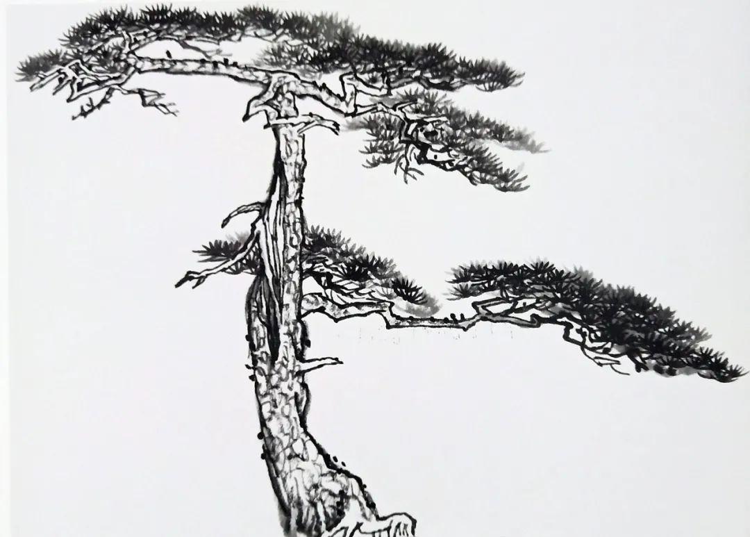 肖艳|山水画基础班——树木画法(只需50元)_辽宁省