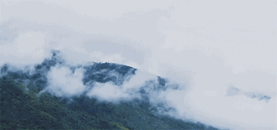 400_188gif 动态图 动图