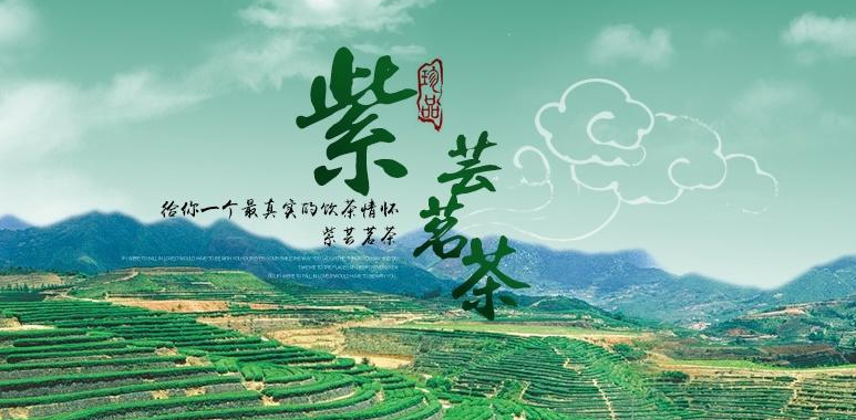 中国品牌紫芸茗茶