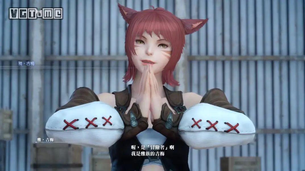 ff14猫娘一号脸图片