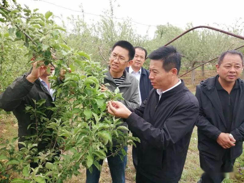 动态|秦亚军督查指导白马铺镇重点工作