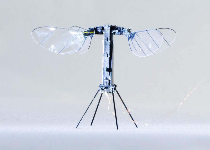 小型纳米机器人的样子图片