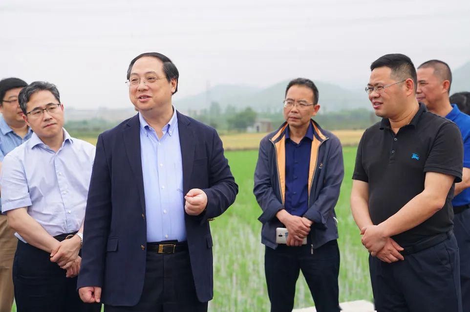王宏副市长一行赴河上调研粮食生产情况