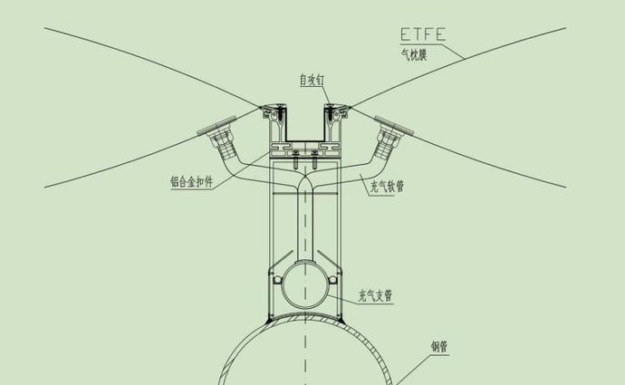 外壳没有一根钢筋一块混凝土水立方究竟藏着多少秘密