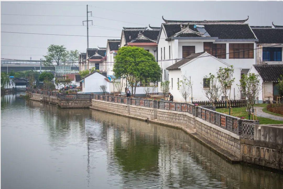 (李袁村西郭家巷)下一步,碧溪街道团委将继续推动校地合作,以青年志愿